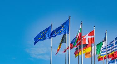 european union flags