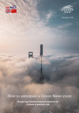 How to anticipate a Green Swan event report cover